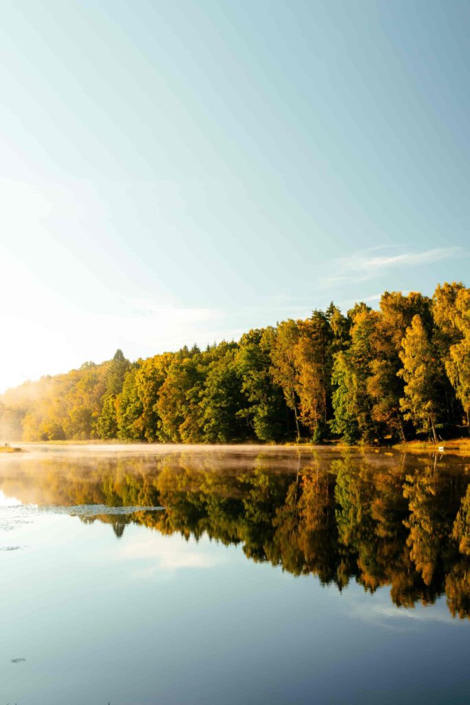 En lugn sjö vid soluppgången med träd i höstfärger i bakgrunden. Solens första strålar bryter igenom i vänster kant och speglar sig över det stilla vattnet, insvept i lätt dimma.