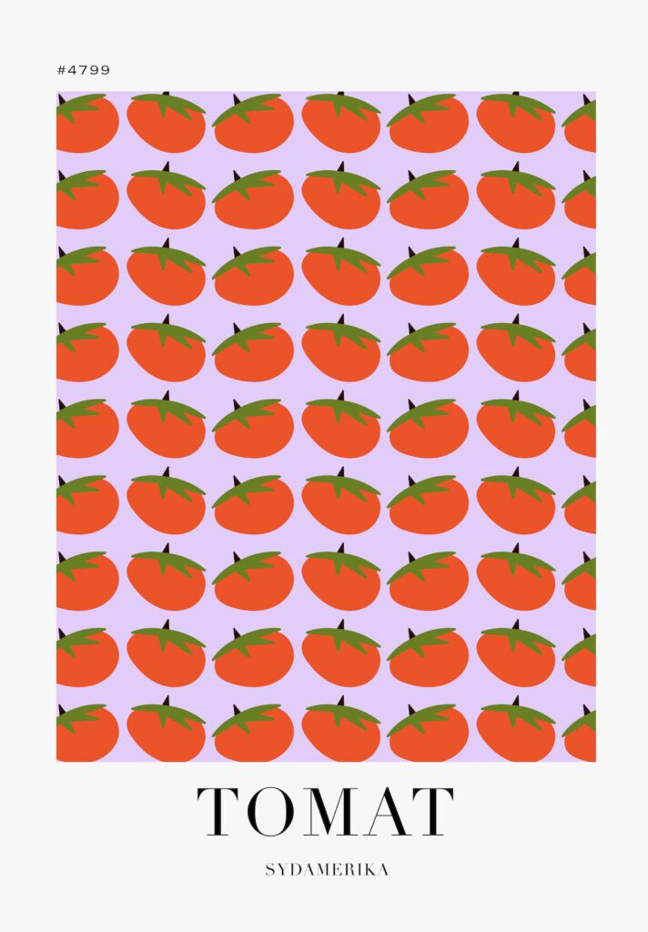 Poster som visar En enkel, stiliserad illustration av tomater på en lila bakgrund. Texten "TOMAT" och "SYDAMERIKA" finns under bilden.